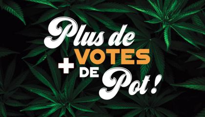 Plus de votes, plus de pot! Plus de votes, plus de pot!