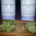 MD et Marcella de Peace Naturals
