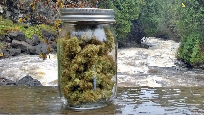 Argumentaire en faveur d'une vraie légalisation