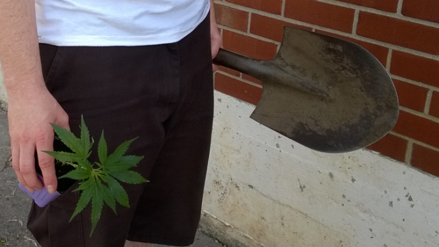 Avec des pelles, on enterra la prohibition sous nos plants
