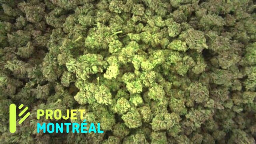 Projet Montréal : Projet cannabis ?