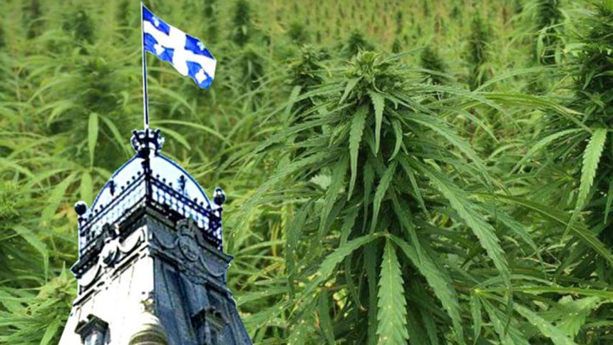 20 ans, ça se fête ensemble!