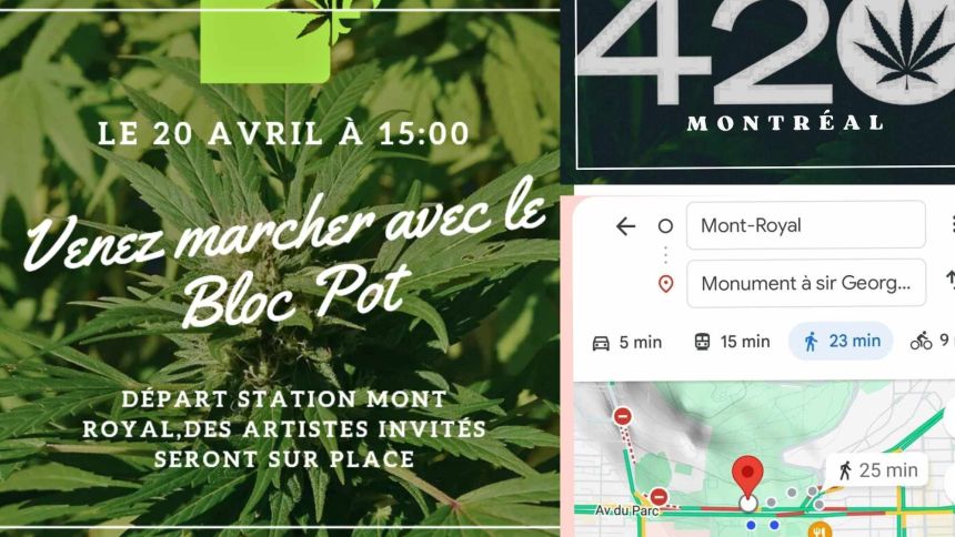 Bloc Pot 420/2024 Bloc Pot 420/2024