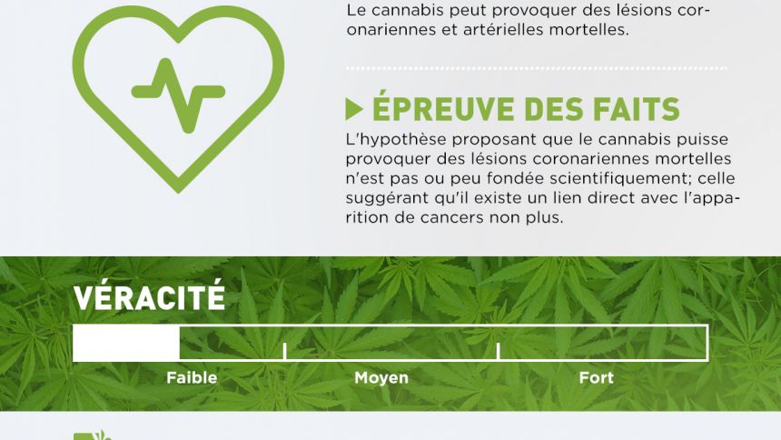 Le cannabis ne cause pas de dommages mortels au coeur