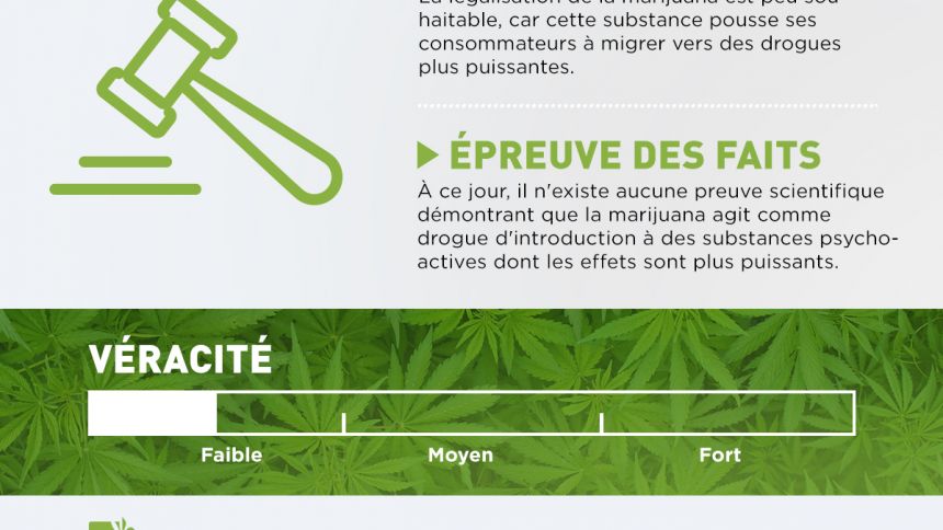 Le cannabis n'est pas une drogue d'introduction contrairement à l'alcool