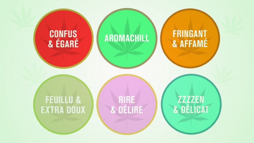 Musique Plus a imaginé des pastilles de goûts pour le cannabis
