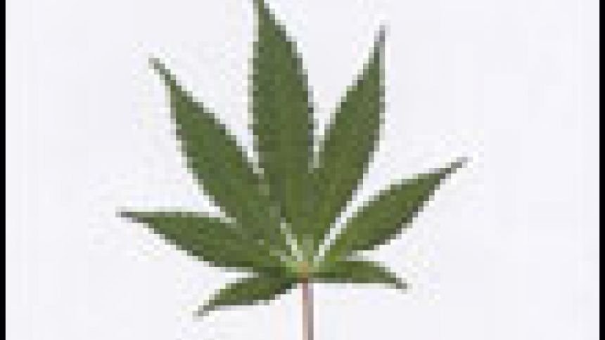 Jamais sans mon pot Vol. 1, Artistes variés