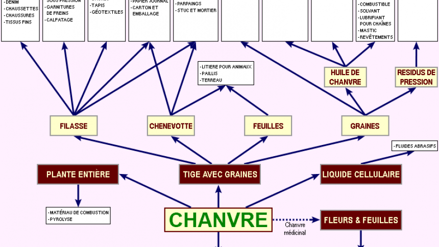 Les 1001 usages industriels et agricoles du chanvre